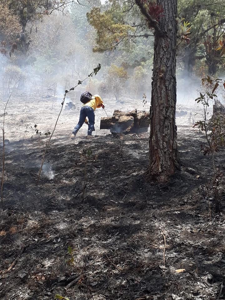 Más de 2 mil hectáreas afectadas por incendios