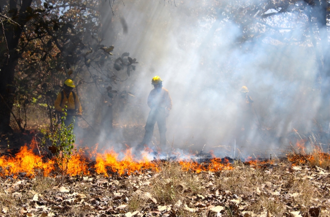 Hasta el momento se registra 113 incendios en Áreas Naturales Protegidas