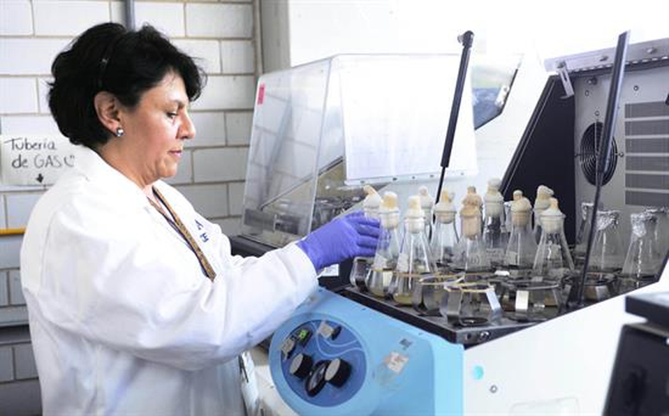 Investigadores de la UNAM crean proteínas contra la listeriosis