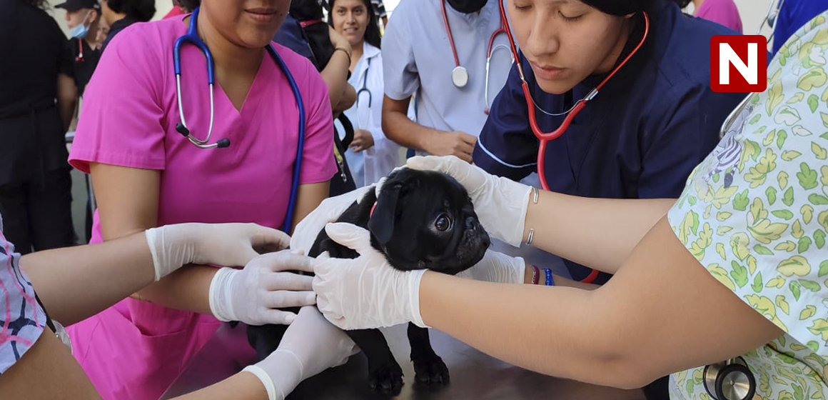 La Facultad de Medicina Veterinaria de la UNACH y Cafetaleros realiza campaña de vacunación antirrábica